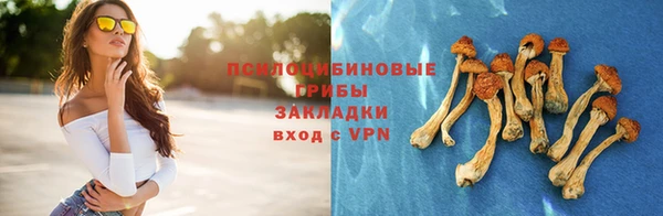 дживик Нефтегорск