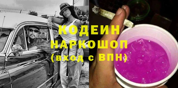 молекула духа Волоколамск