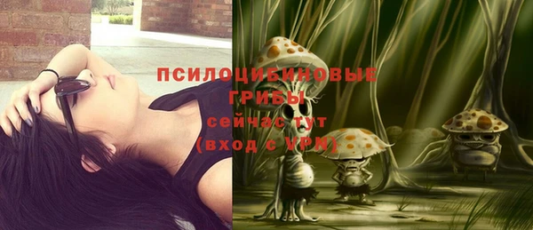 дживик Нефтегорск