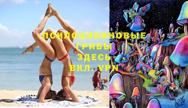 дживик Нефтегорск