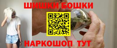 МДПВ Бийск
