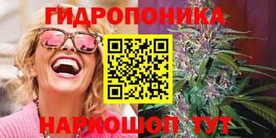сатива Берёзовский