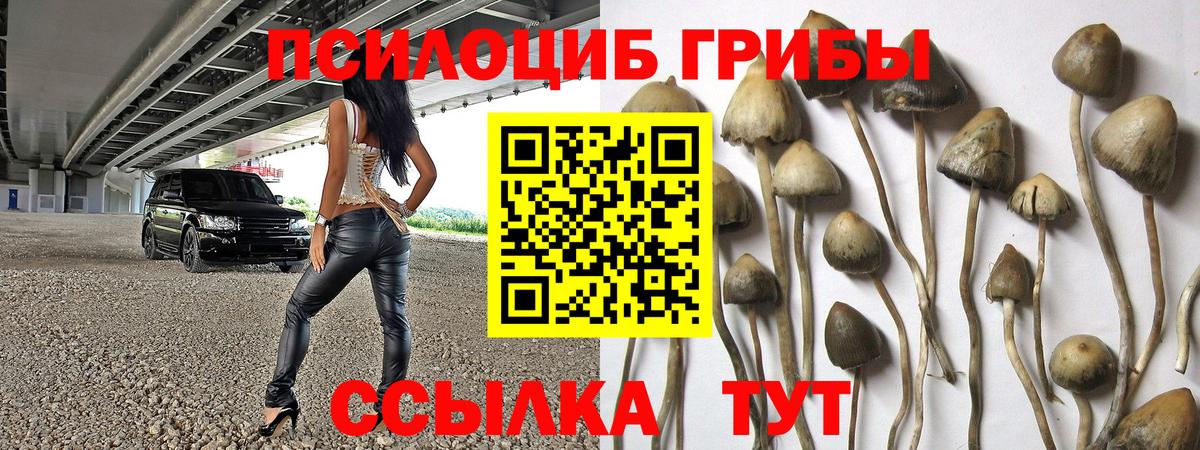 Псилоцибиновые грибы ЛСД Приморско-Ахтарск