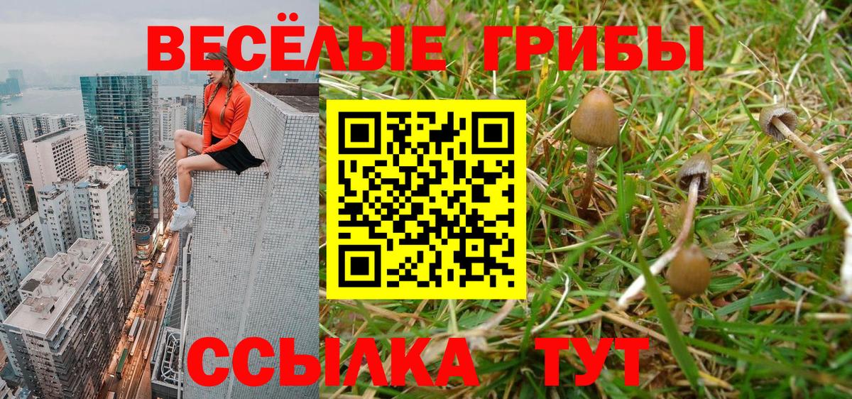 Галлюциногенные грибы GOLDEN TEACHER  Вход с VPN  Приморско-Ахтарск 