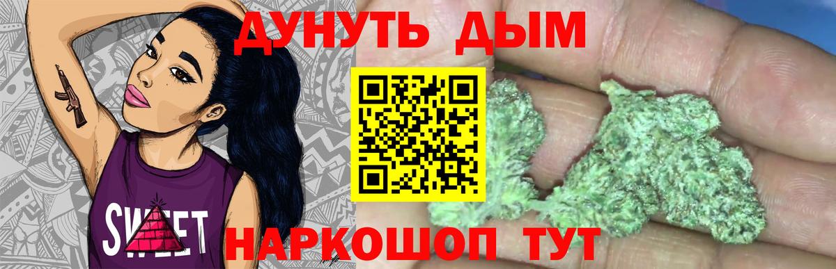 Шишки марихуана план  Бошки марихуана план  Конопля ГИДРОПОН  Приморско-Ахтарск  Вход с VPN 